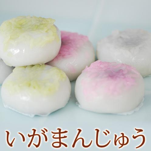 いがまんじゅう 8個入 お彼岸 農耕儀礼 秋 桃の節句 ひな祭り 春 和菓子 お菓子 生菓子 老舗 ...