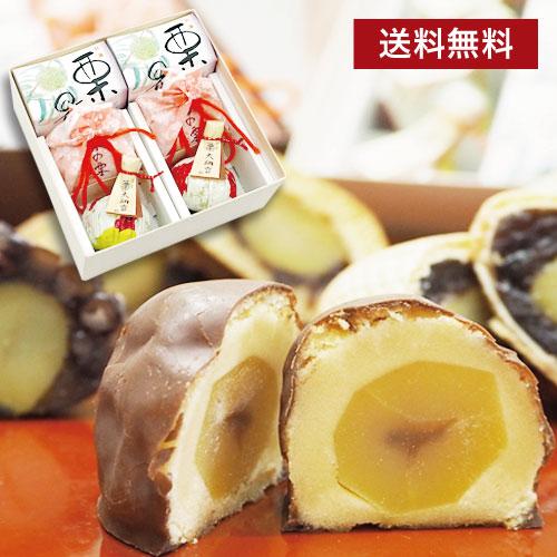 送料無料 「雅栗」栗菓子 栗最中2個珠の栗2個栗大納言2個 和菓子 お歳暮 お供え 法事 ギフト お...