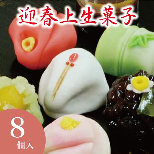 迎春の上生菓子8個入 上生菓子 お正月 お年賀 ギフト 和菓子  新春 ご挨拶 お菓子 生菓子 スイ...