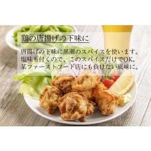 黒瀬食鳥 黒瀬のスパイス つめかえ用 250g...の詳細画像2