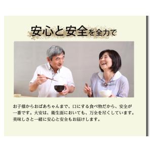 大安 漬物 ギフト 京の味 H-25 翌日発送...の詳細画像4