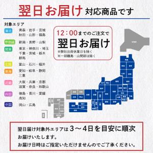 大安 ちいさなだいやす 直SYG-A お中元 ...の詳細画像1