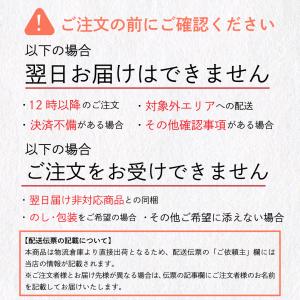 大安 ちいさなだいやす 直SYG-A お中元 ...の詳細画像2