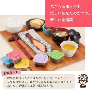 大安 ちいさなだいやす 直SYG-A お中元 ...の詳細画像5