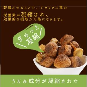 大洋物産 アガリクス茸 500g アガリクス ...の詳細画像1