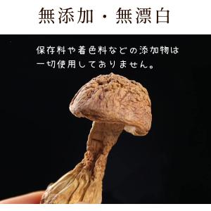 大洋物産 アガリクス茸 500g アガリクス ...の詳細画像2