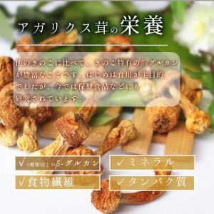 大洋物産 アガリクス茸 500g アガリクス ...の詳細画像3