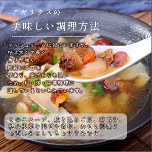 大洋物産 アガリクス茸 500g アガリクス ...の詳細画像4
