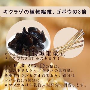黒木耳 きくらげ 1kg 自社輸入品 黒きくら...の詳細画像5