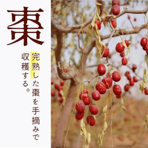 棗 ナツメ 1kg 種あり (260-300粒...の詳細画像3