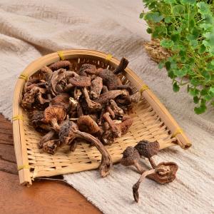 乾燥 コウタケ 香茸 50g 雲南産 鹿茸 天然きのこ サイズ不揃い 椎茸 