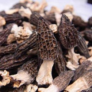 乾燥アミガサタケ 30ｇ モリーユ羊肚菌（Morchella esculenta） 高級食材 栄養豊富｜daiyoubussan