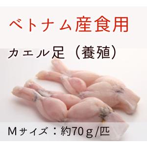 食用ガエル足 1kg (12〜16本入り )フ...の詳細画像1