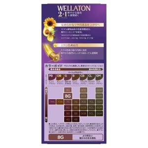 【まとめ買い】24個セット ウエラジャパン ウ...の詳細画像2