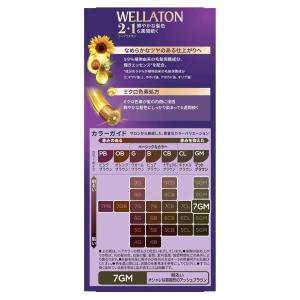 【まとめ買い】24個セット ウエラジャパン ウ...の詳細画像2