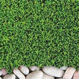 デュポン DuPont 人工芝 リアリーターフ ...の商品画像