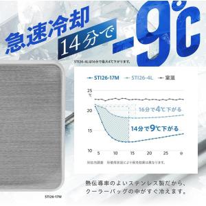 【在庫有】武田コーポレーション ステンレスアイ...の詳細画像2