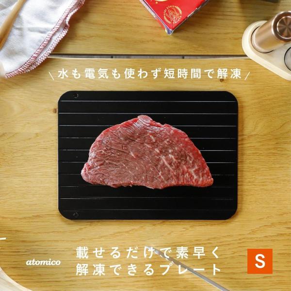 CB JAPAN(シービージャパン) 解凍プレート S 縦165mm×横230mm×厚さ3mm 水も...