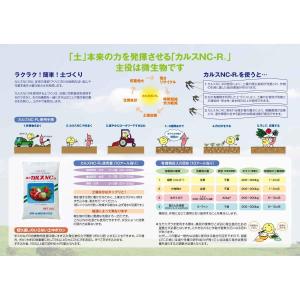 【在庫有・即納】土壌改良資材 粉状 カルス N...の詳細画像3