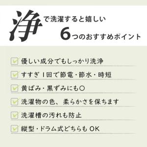 【在庫有・即納】【まとめ買い】エコプラッツ 善...の詳細画像4