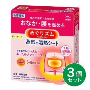 【まとめ買い】花王 めぐりズム 蒸気の温熱シート...の商品画像