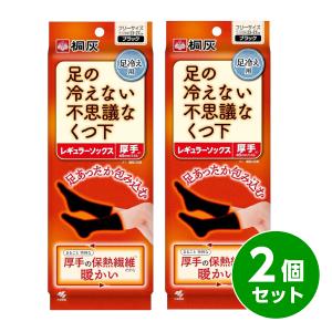 【在庫有・即納】【まとめ買い】【2袋セット】桐灰 足の冷えない不思議なくつ下 レギュラーソックス 厚手 フリーサイズ 23-27cm 黒 保温 冷え 通学 通勤 靴下｜daiyu8-y