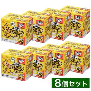 IRIS OHYAMA（アイリスオーヤマ） 貼れないあったか カイロ レギュラー