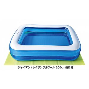 【在庫有・即納】 イガラシ プール下マット 約...の詳細画像3