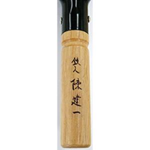 【在庫有・即納】タマハシ 陳建一 IH200V...の詳細画像1