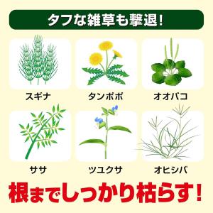 【在庫有・即納】KINCHO園芸 草退治ストロ...の詳細画像4
