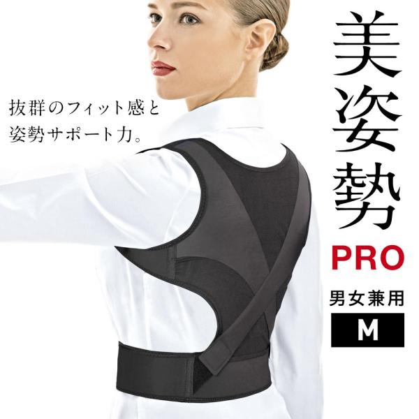 La-VIE(ラヴィ) 美姿勢PRO M 3B-3309   トレーニング 健康器具 癒し リラック...