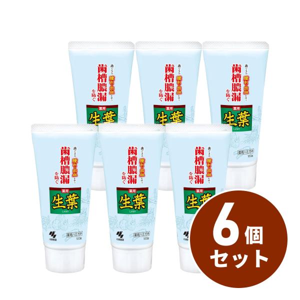 【まとめ買い】小林製薬 生葉(しょうよう) マイルドな味 100g×6セット　医薬部外品 生葉ｄ 5...