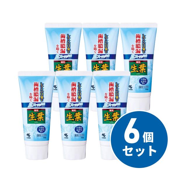 【まとめ買い】小林製薬 生葉(しょうよう) 息スーッと実感タイプ 100g×6セット　医薬部外品 生...