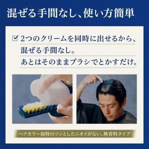 ホーユー メンズビゲン TAKUMI 6A ア...の詳細画像3