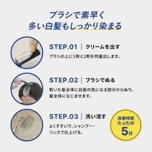 ホーユー メンズビゲン スピーディーII N ...の詳細画像2