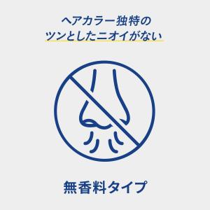 ホーユー メンズビゲン スピーディーII N ...の詳細画像4