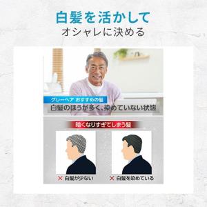 ホーユー メンズビゲン グレーヘア ナチュラル...の詳細画像2