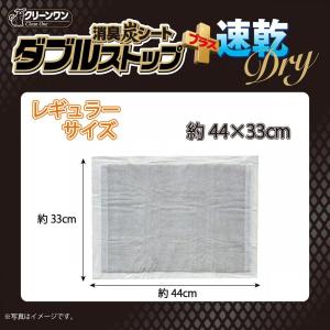 【在庫有・即納】【まとめ買い】クリーンワン 消...の詳細画像3