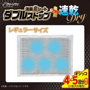【在庫有・即納】【まとめ買い】クリーンワン 消...の詳細画像4