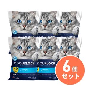 【在庫有・即納】 【まとめ買い】 PetPro(ペットプロ) 猫砂 オードロック 無香料 6kg×6袋セット　約8秒で固まる 消臭効果が40日間持続 鉱物系