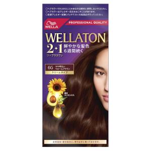【まとめ買い】24個セット ウエラジャパン ウ...の詳細画像1