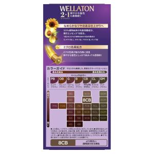 【まとめ買い】24個セット ウエラジャパン ウ...の詳細画像2