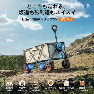 【在庫有・即納】Litheli W2PRO 電...の詳細画像1