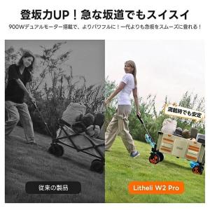 【在庫有・即納】Litheli W2PRO 電...の詳細画像4