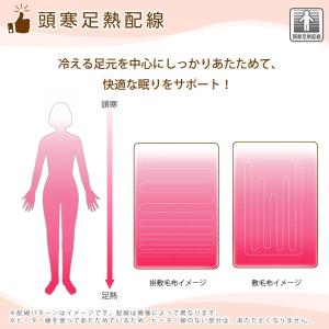 【在庫有・即納】広電 KODEN 電気かけしき...の詳細画像4