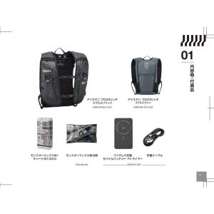 【メーカー正規品】 [ 特別モデル ] ICE...の詳細画像1