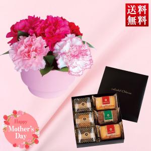 【I】【5/8〜5/12お届け】母の日 ギフト ホテルオークラ 焼き菓子詰合せとカーネーション アレンジ セット 【離島不可】【代引き不可】｜daiyu8