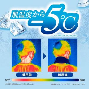 白元アース アイスノン 冷んやりタオル 首もと...の詳細画像3