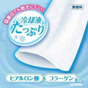 白元アース アイスノン 冷んやりタオル 首もと...の詳細画像4