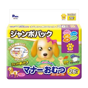 P・ワン マナーパッドActive ビッグパック L ( 28枚入 )/ P・ワン(P